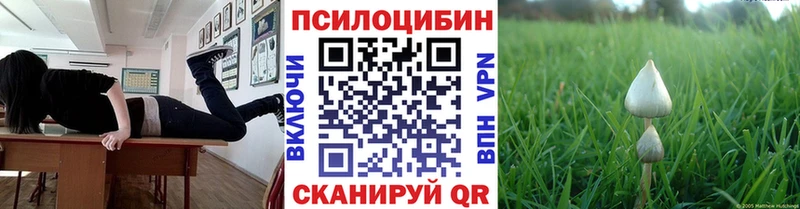 Галлюциногенные грибы прущие грибы  купить  цена  Кинешма 